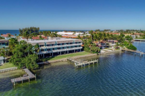 Anna Maria Island Beach Palms 7A